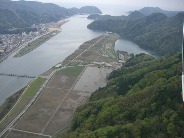 ハチゴロウの戸島湿地